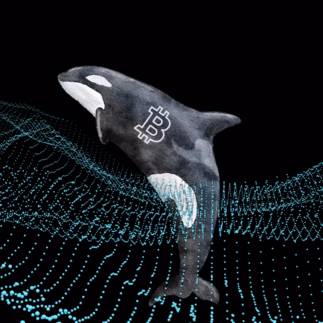 Cryptorcas תשלום בקריפטו