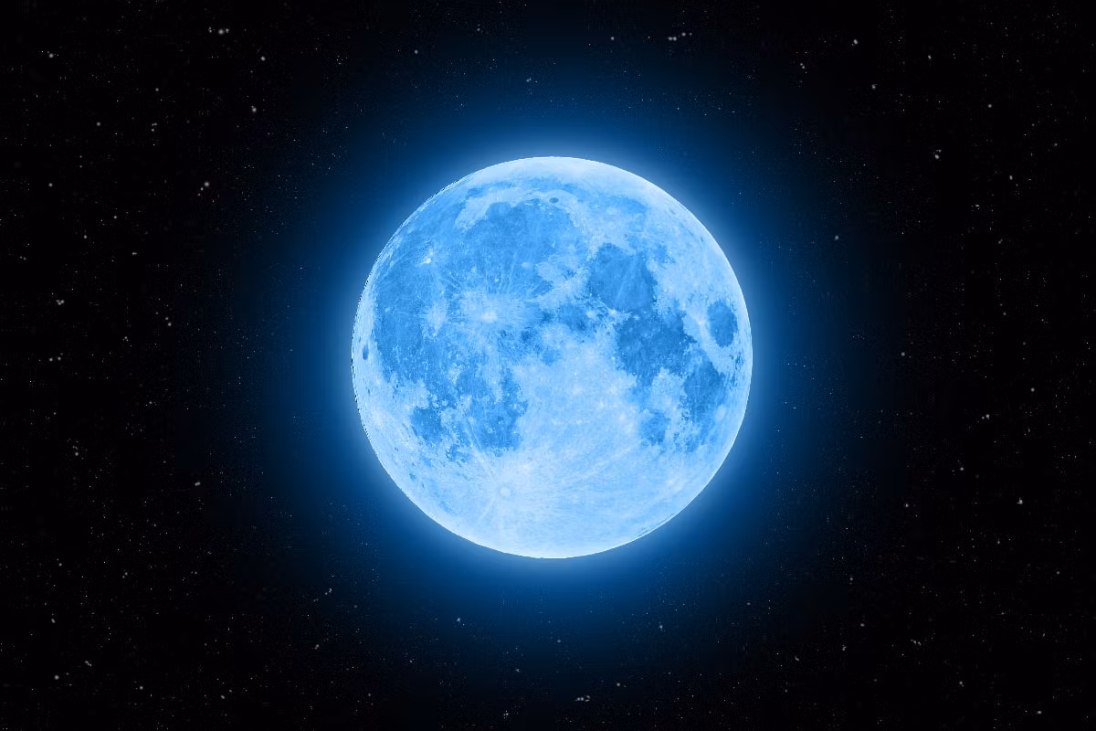MoonWatchers | Twitter Tracker