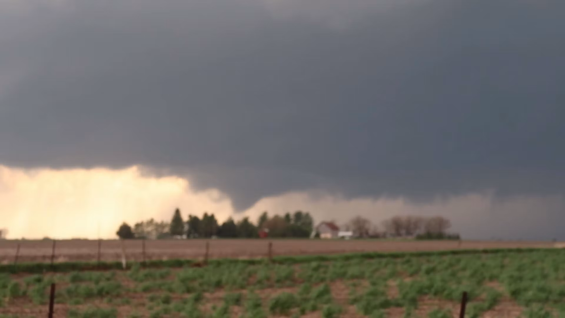 Storm Chase Syndicate