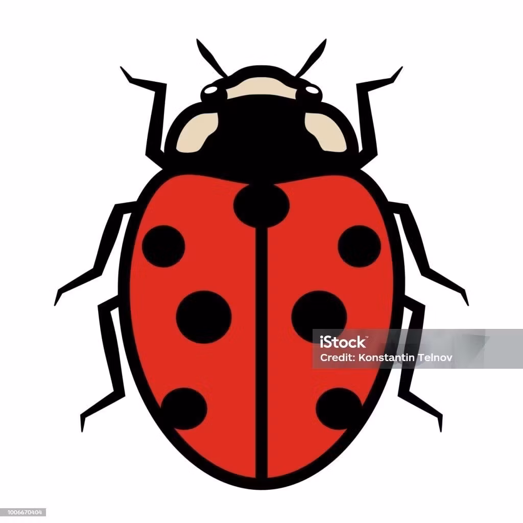 Bug Up Ent