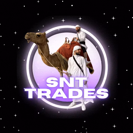 SNTTRADES NUR VIDEOKURS
