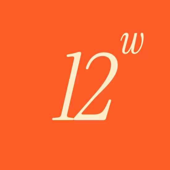 12 Week Planner - Lite (Q)