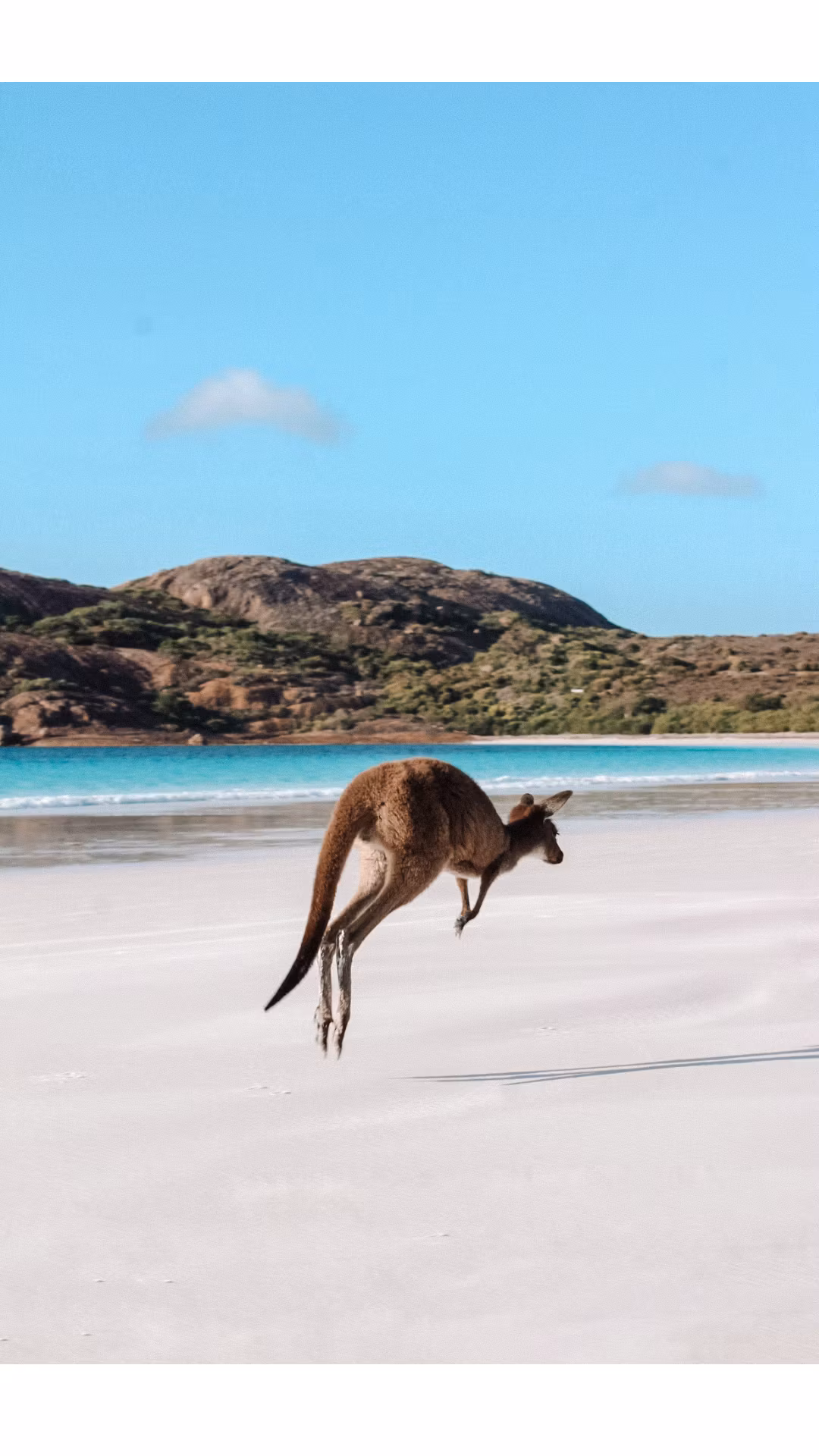Australia WHV chat