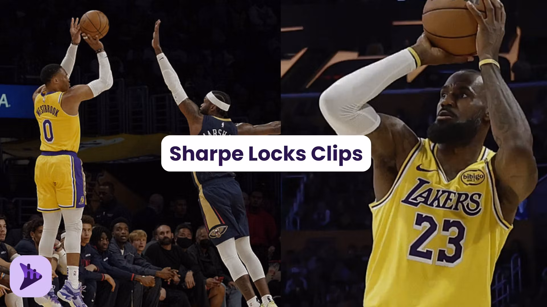 Sharpe Locks Clips