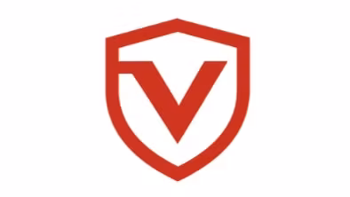 Incasso Payments | VG