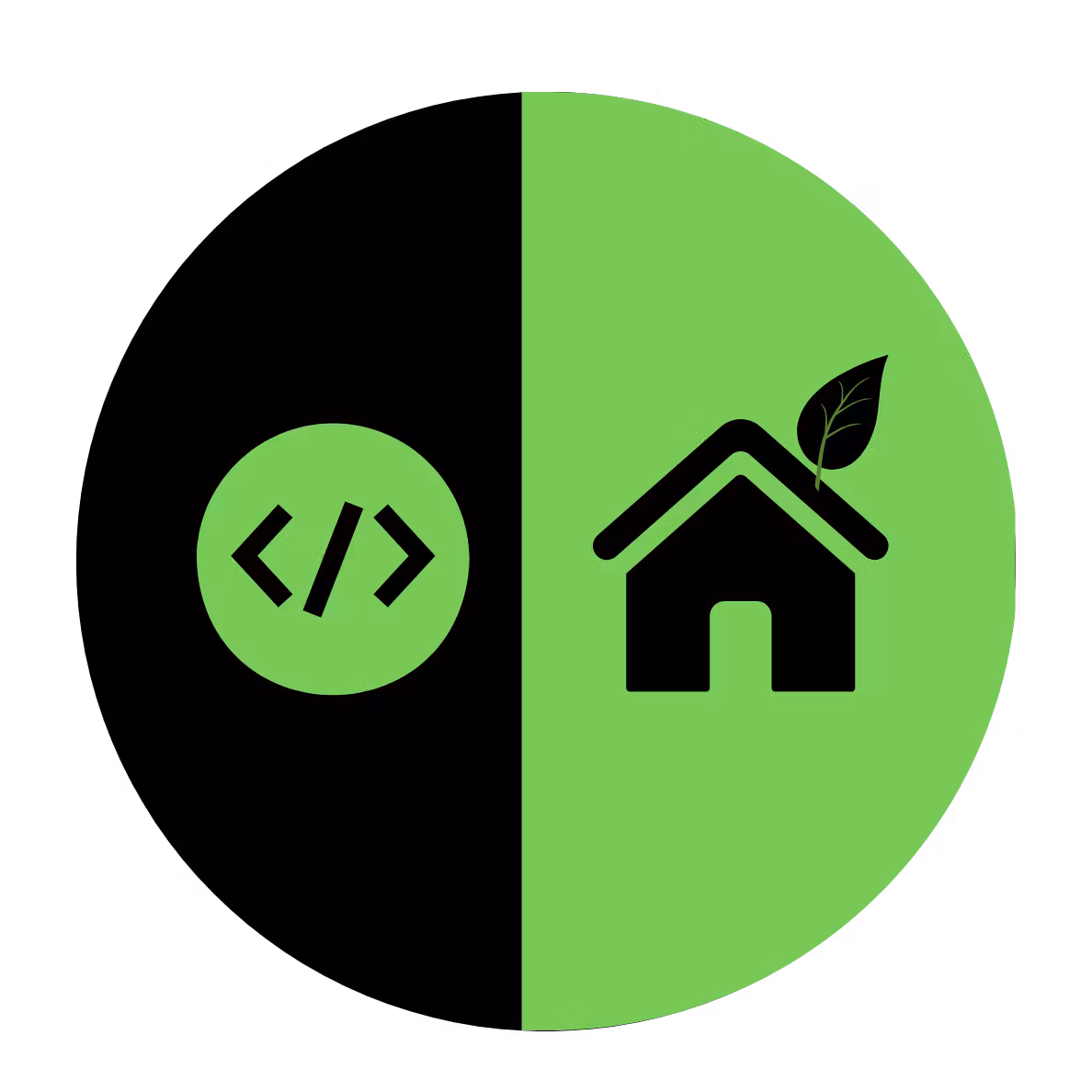 Remote Developer Life Mastery