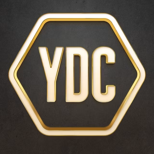 YDC Mentorship