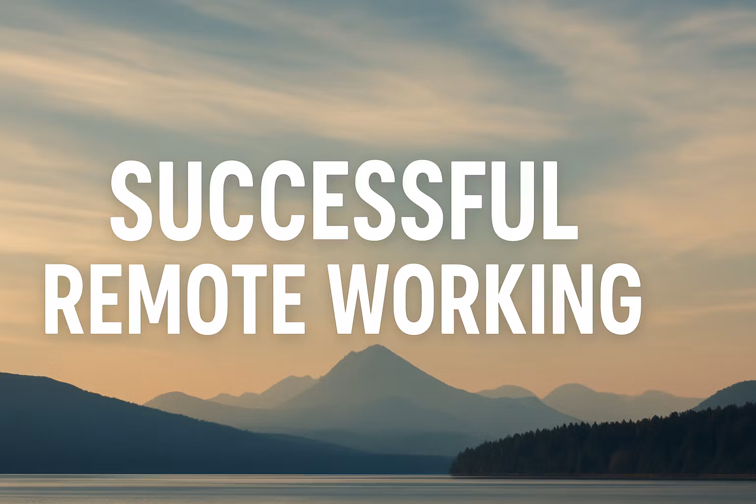 Successful Remote Working