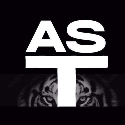 Activate Silent Tiger