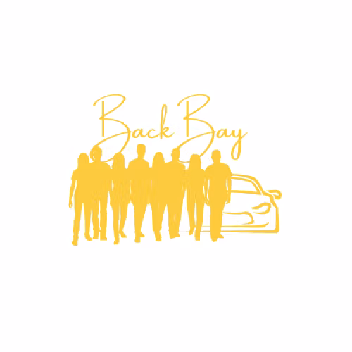 BackBay Pro