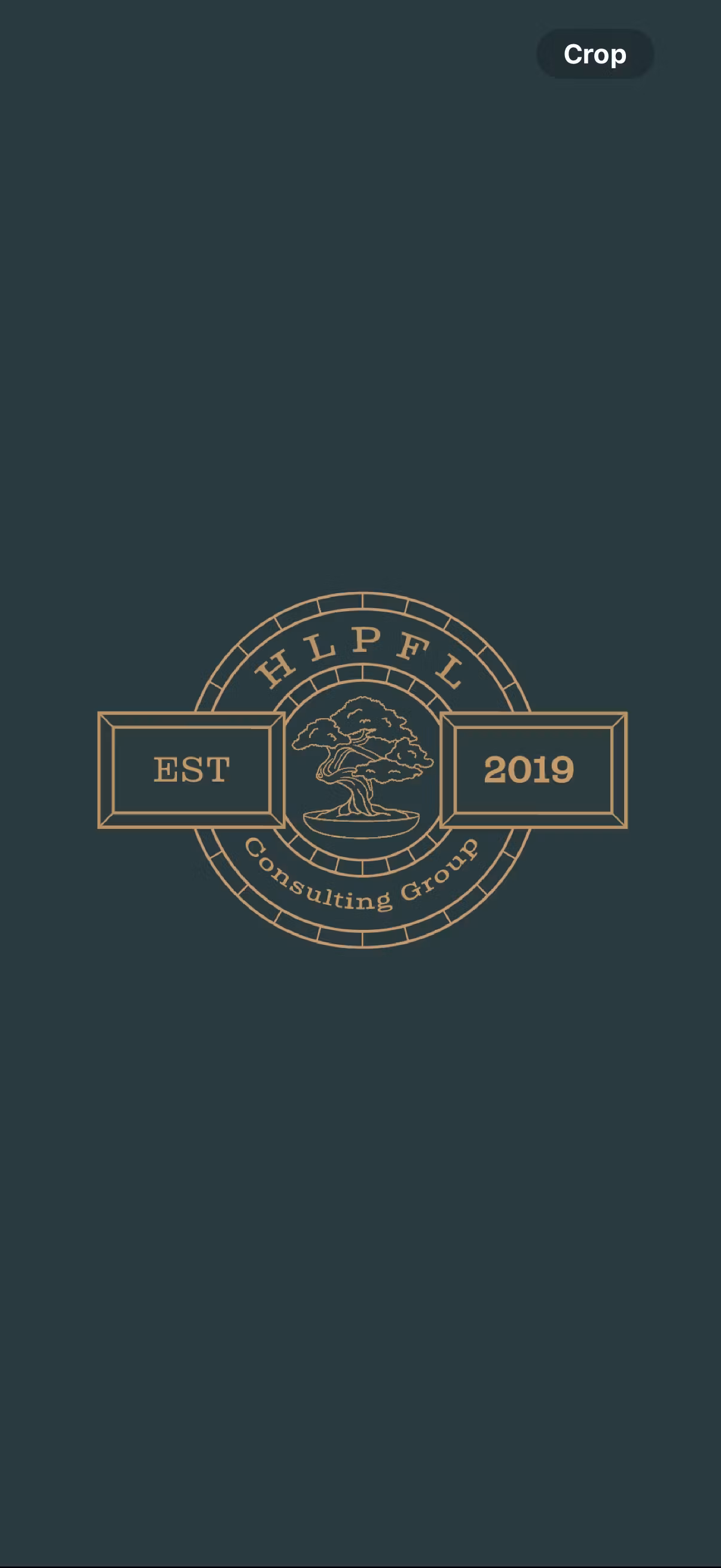 HLPFL Consulting Group