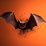 Bat Crypto VIP