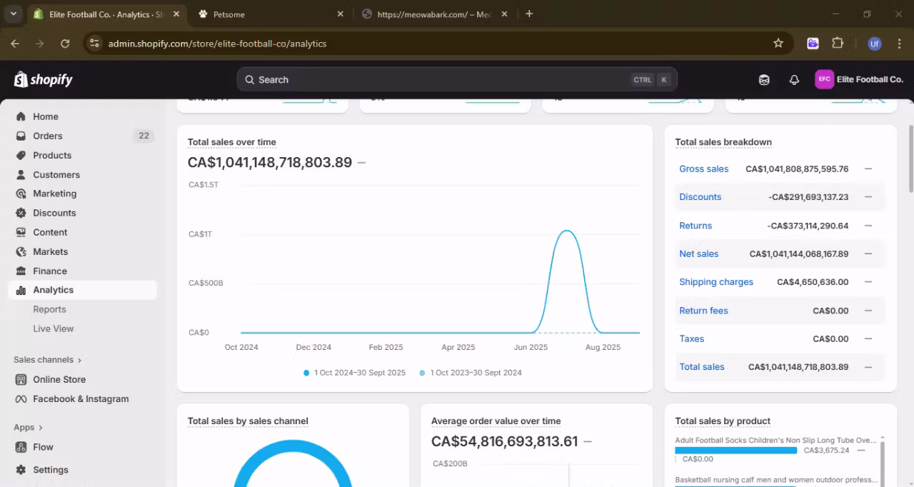 Shopify Q4 Business Setup