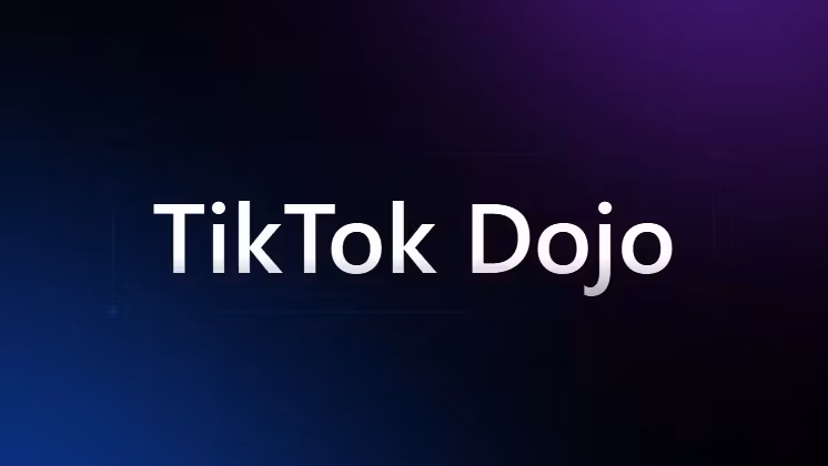 TikTok Dojo