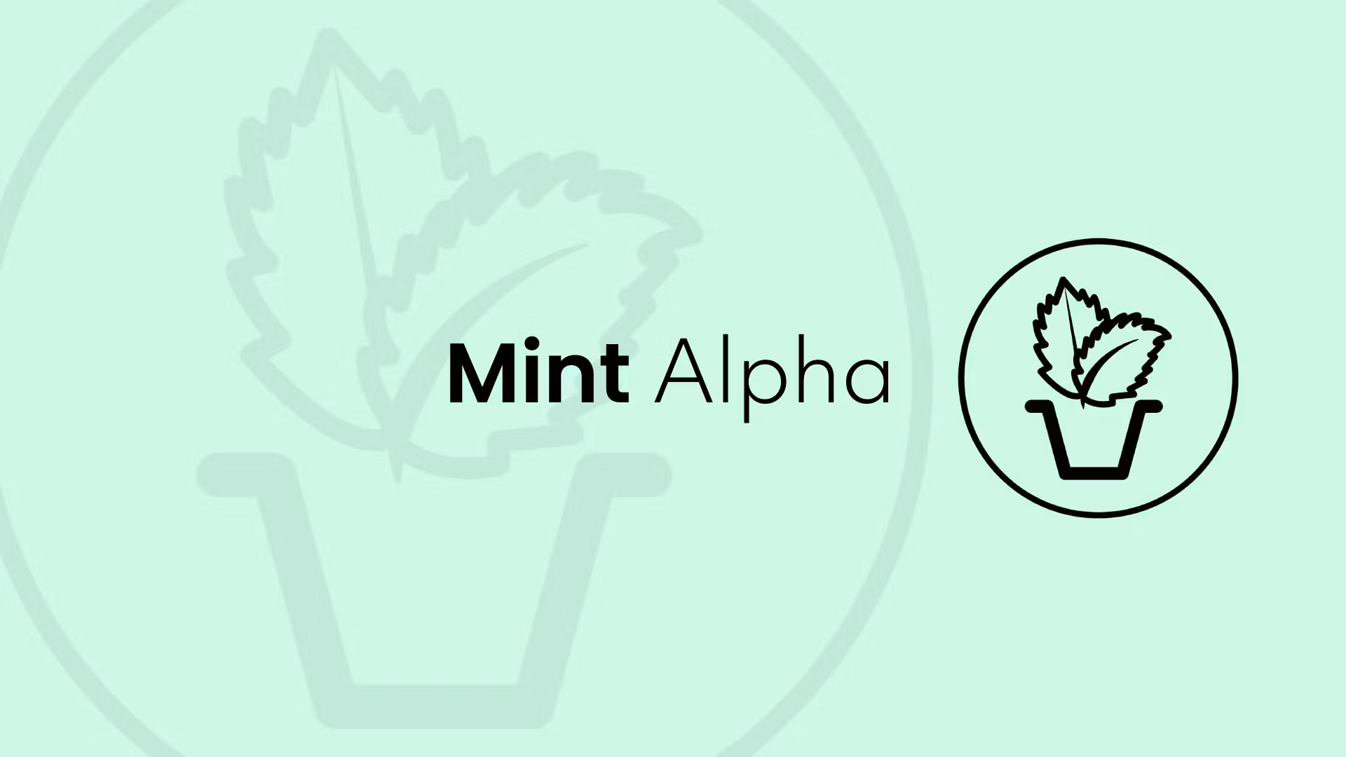 Mint Alpha