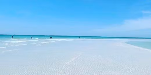 Traders Wealth Lounge