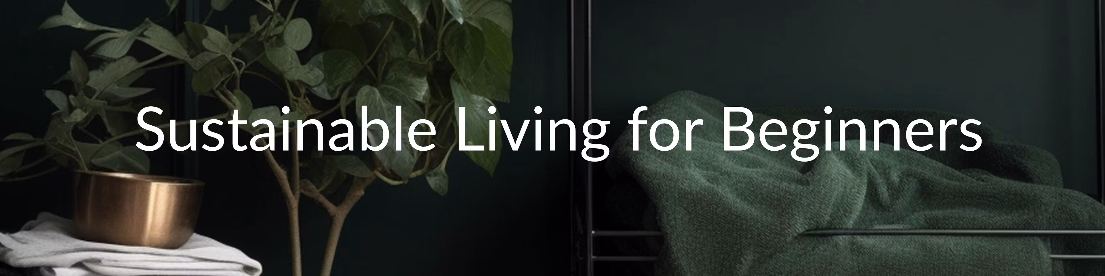 Sustainable Living For Begi...