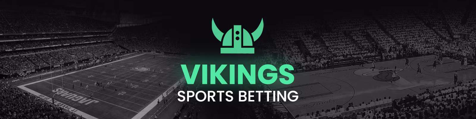 Vikings Sports VIP Pass