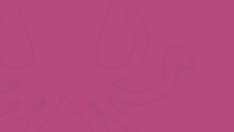 IHOF Lite Membership