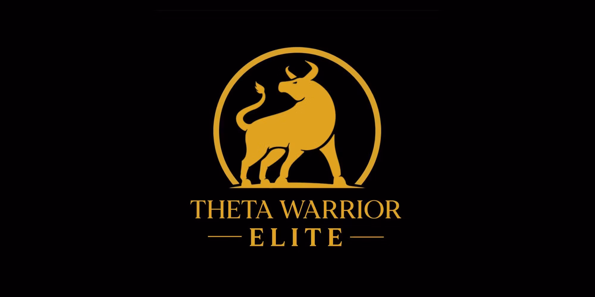 Theta Warrior Elite Options