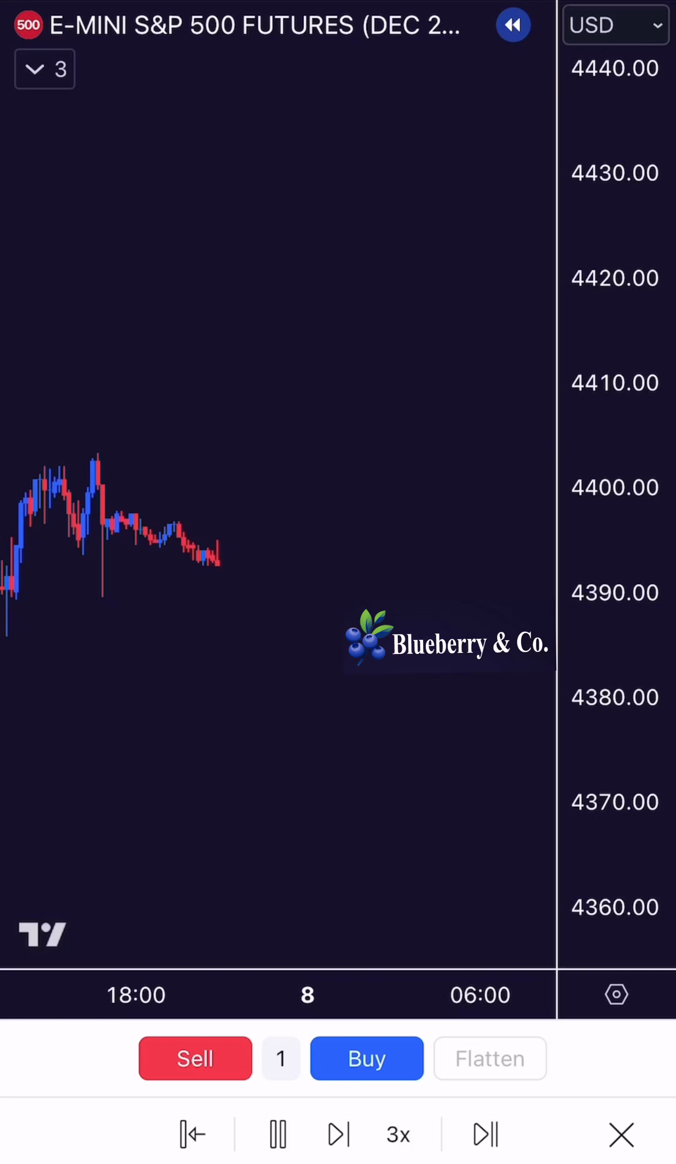 Blueberry & Co. All-In