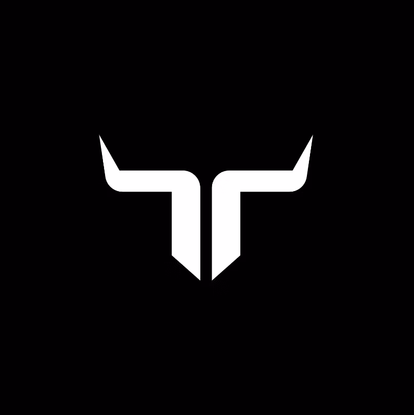 Scale Trader VIP