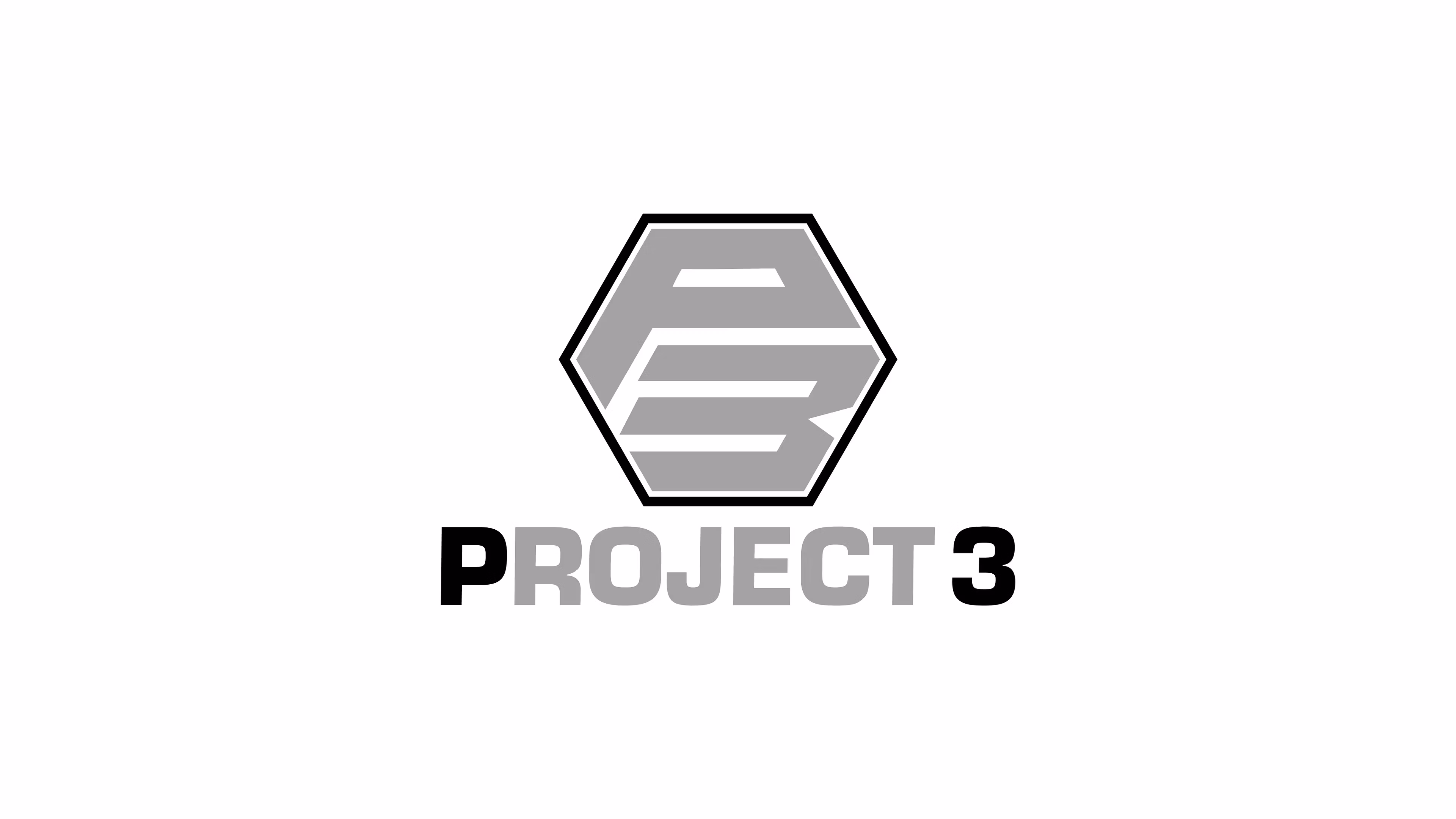 Project 3
