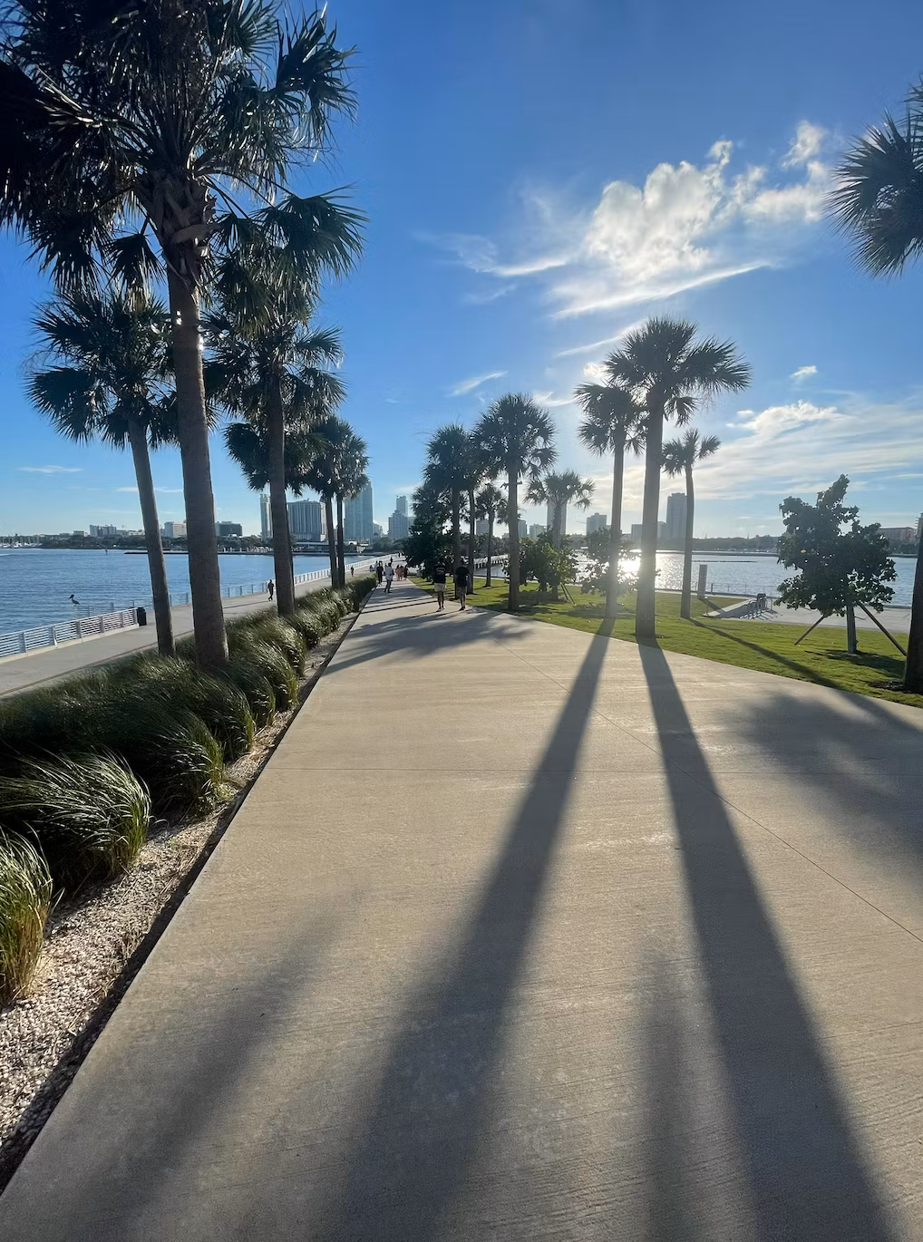 49--1nfnufb0b0noianfa