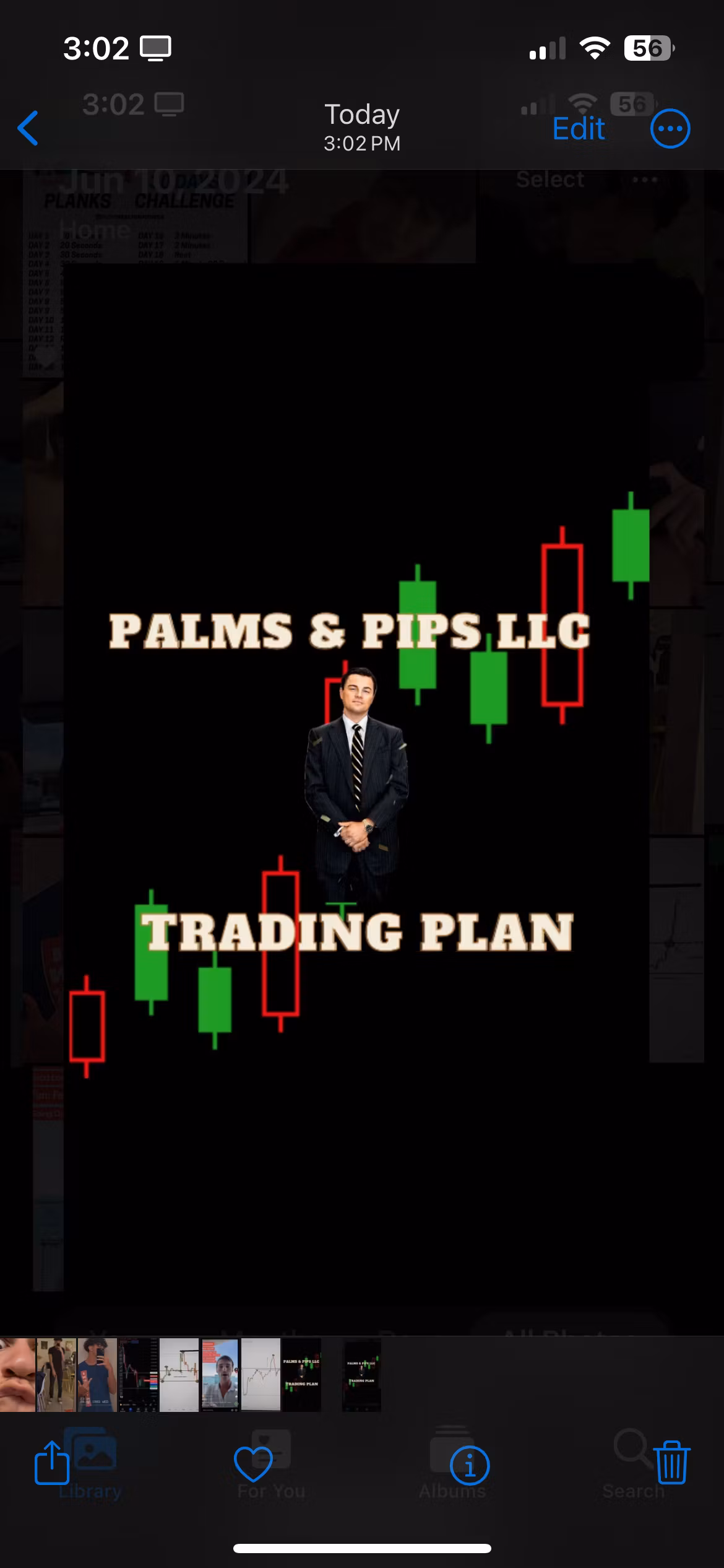 Palms & Pips Trading 