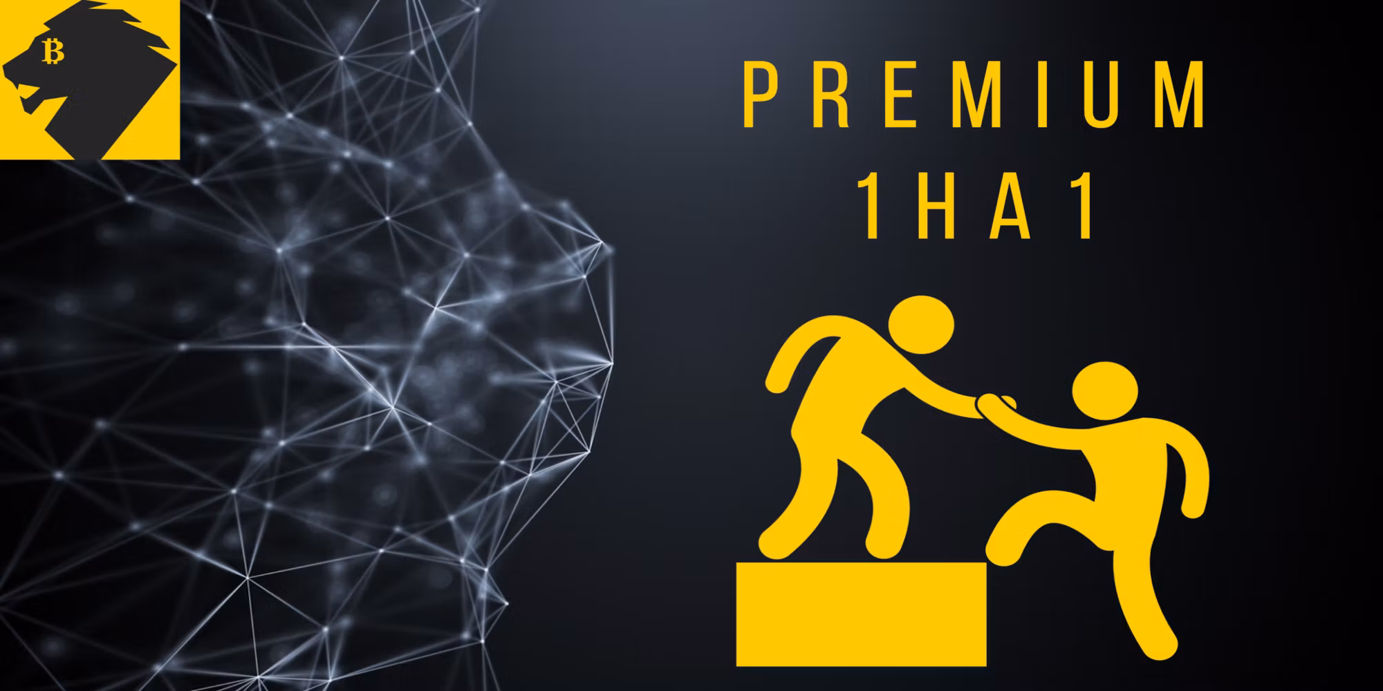 PREMIUM 1:1