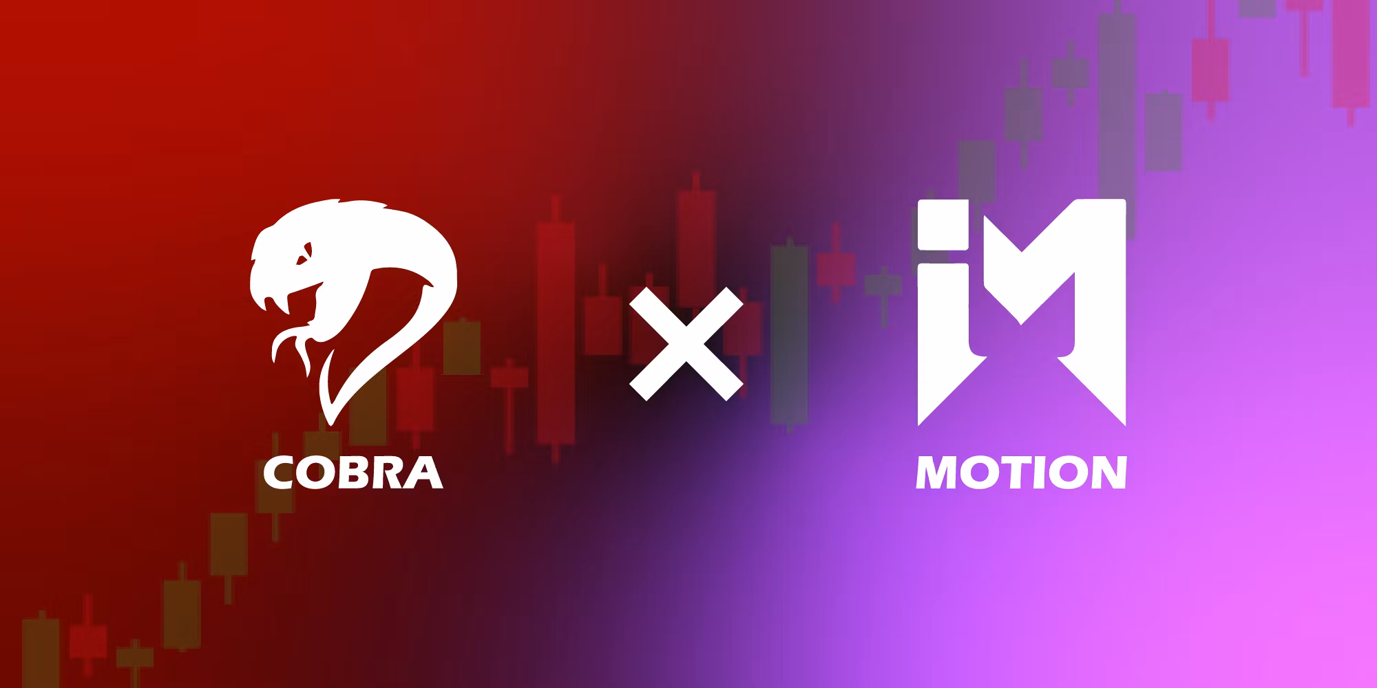 COBRA X MOTION MENTORSHIP