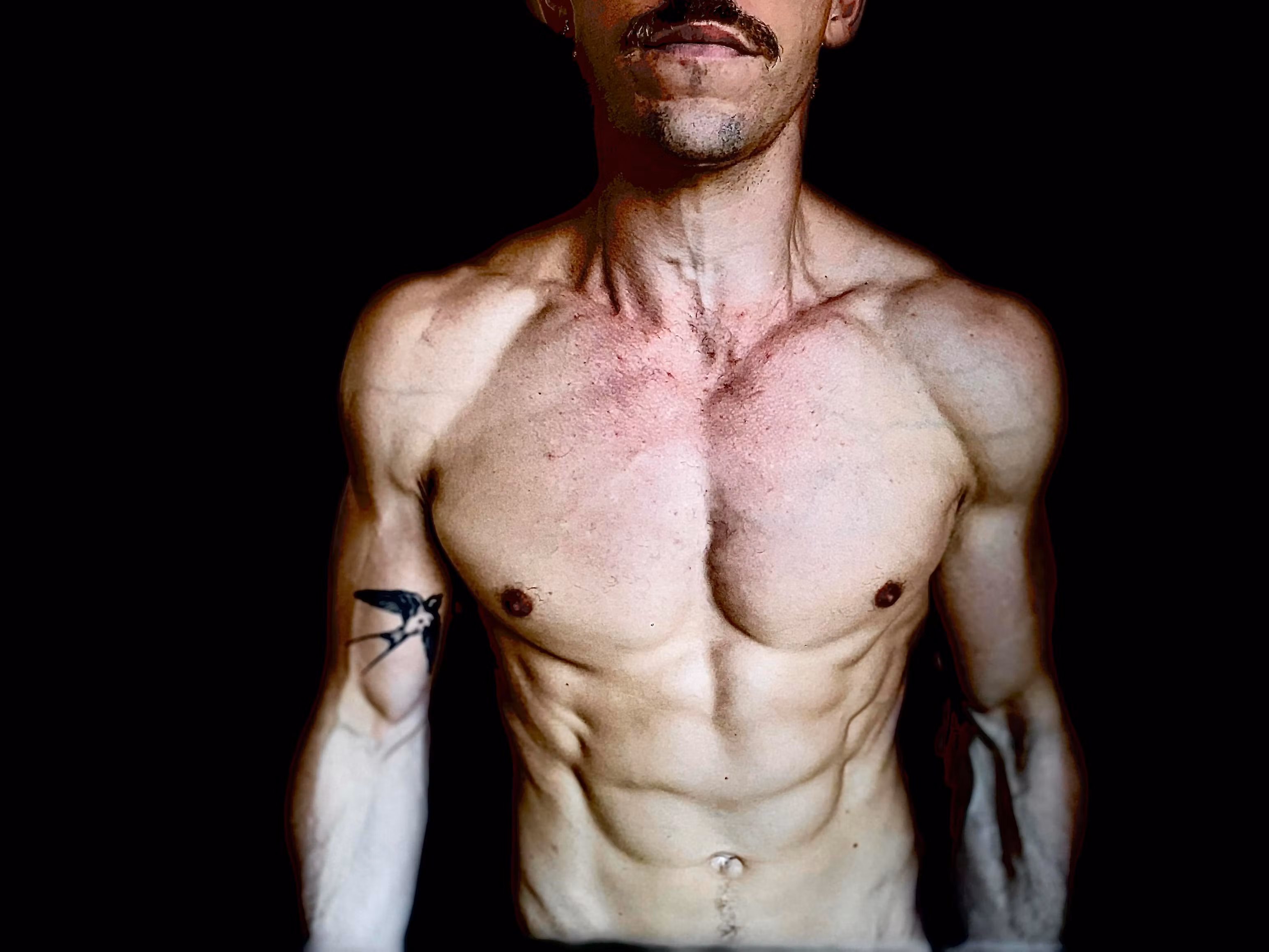 The 'Baki Back' Training Dojo