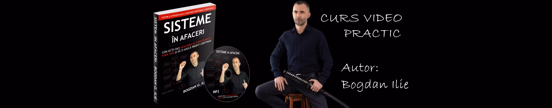 Sisteme in Afaceri - Curs VIDEO