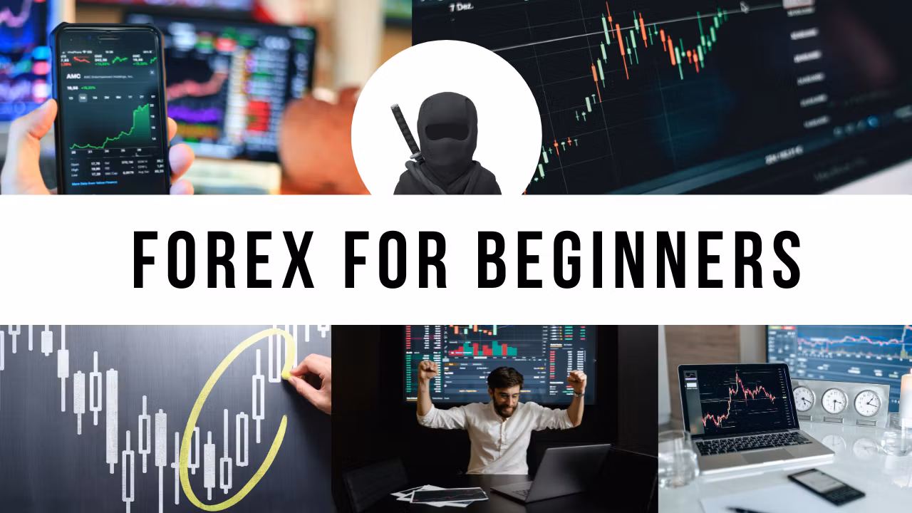 Forex for Beginners FXA