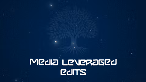 Media Leveraged Edits