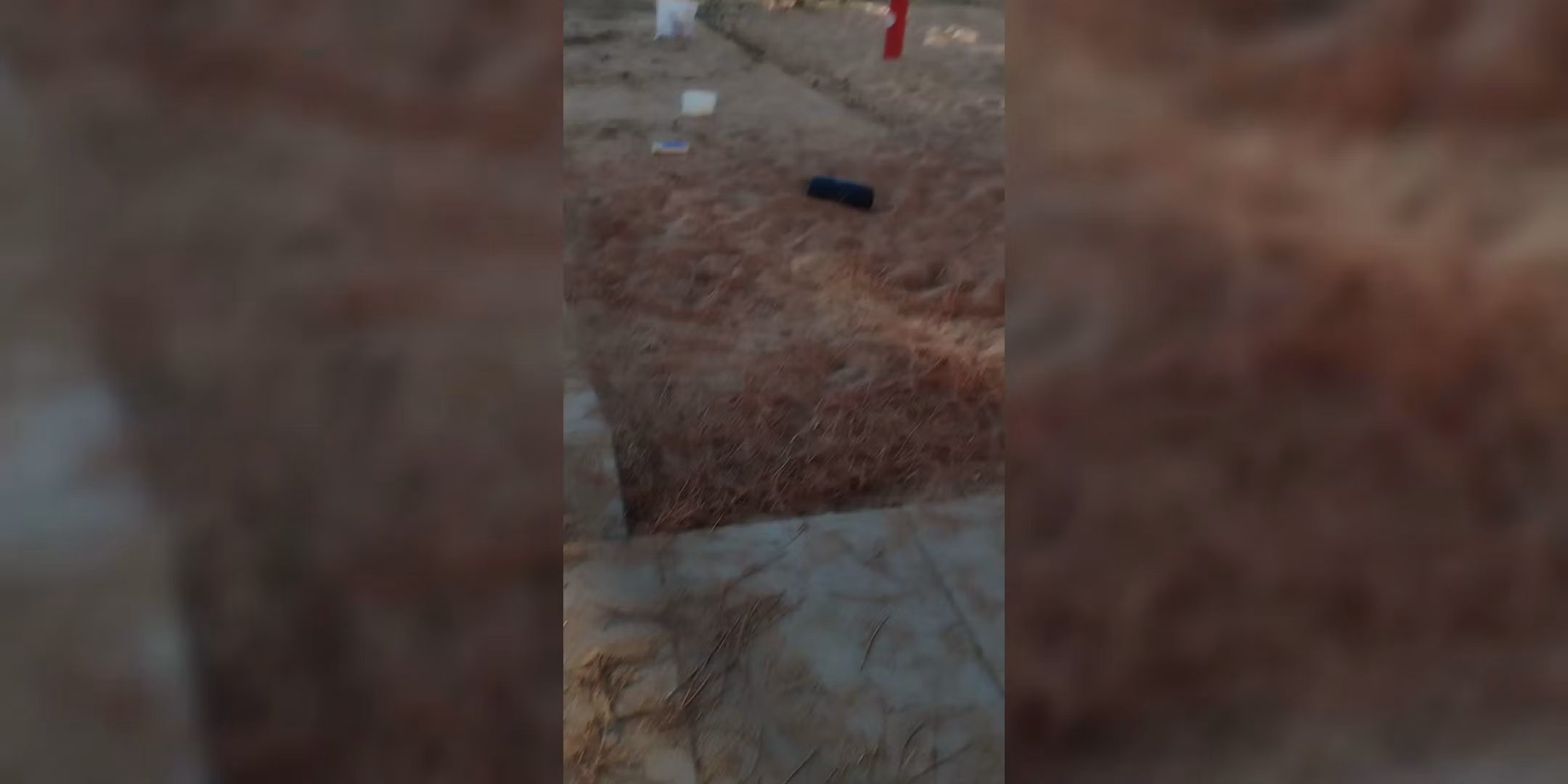 Blindu's Calisthenics Course