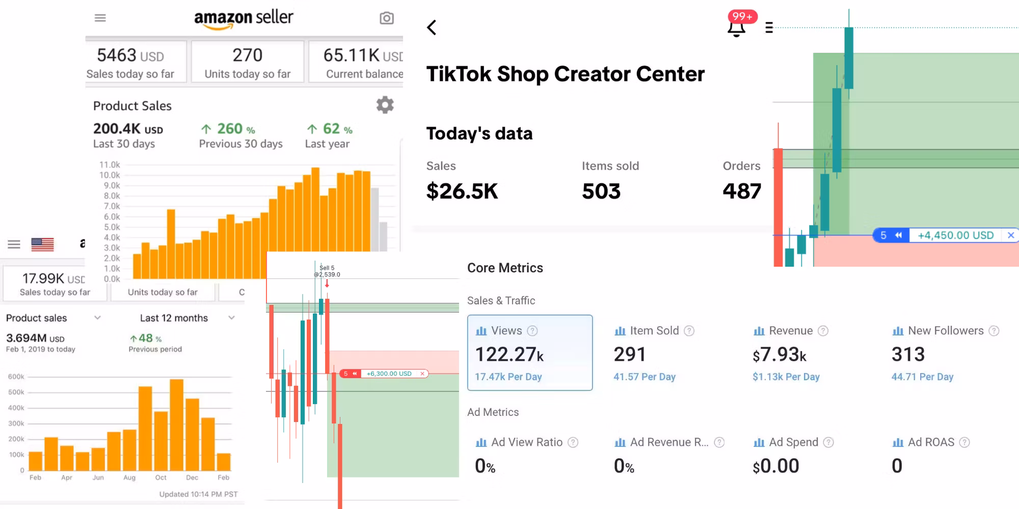 Ecom & Trading Success Program