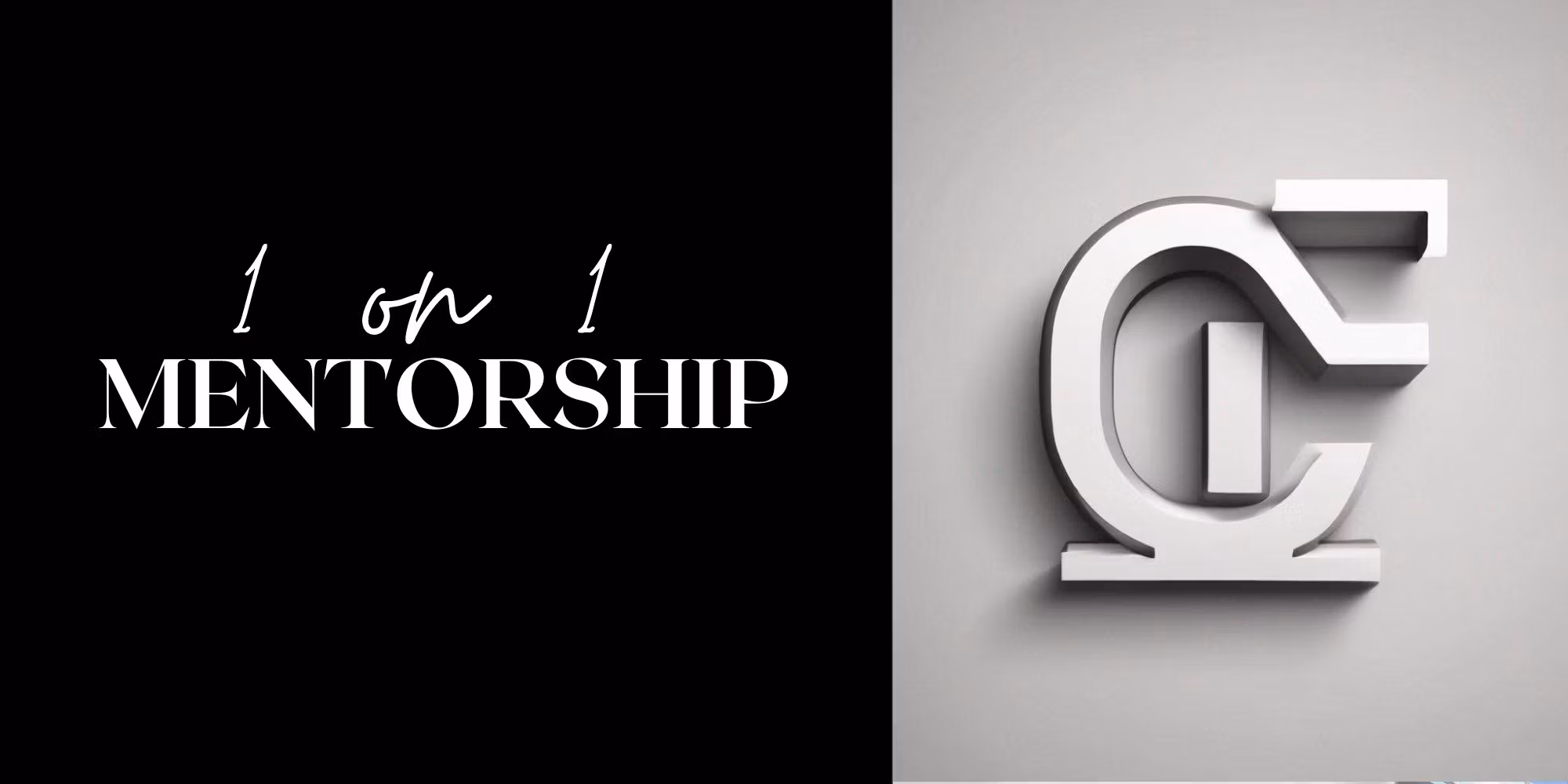 1 on 1 Mentorship