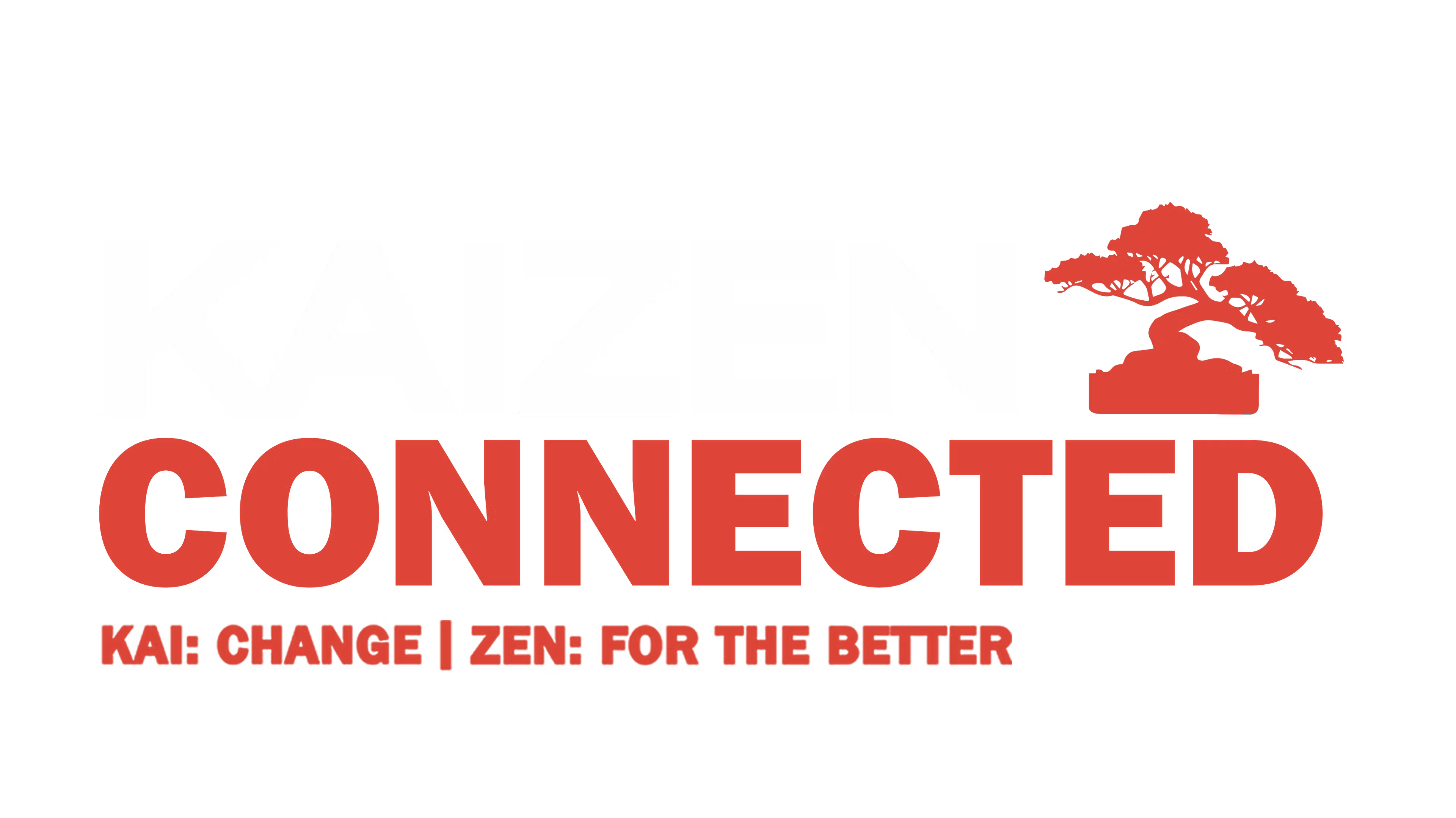 The Kaizen