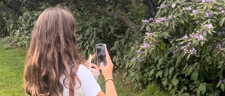 Master Stock Photography