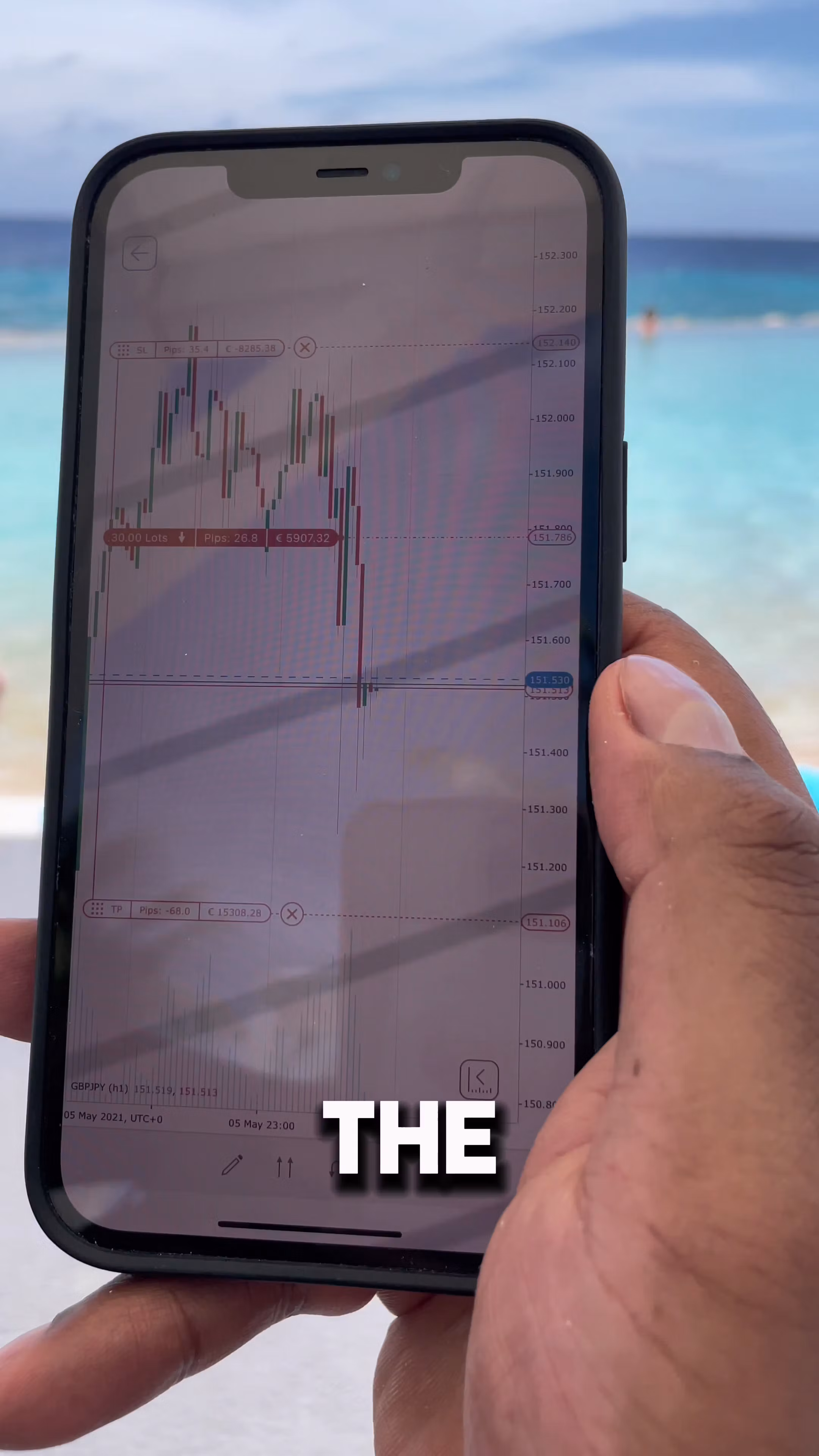 Algo28 day trading signals