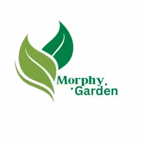 Morphy Garden