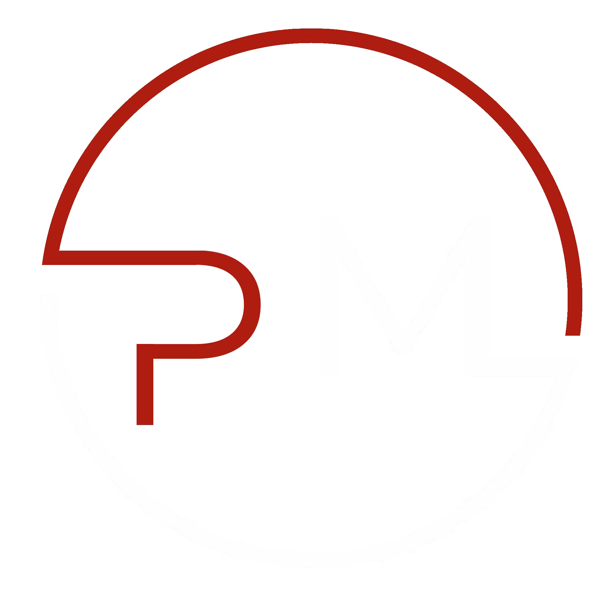 Projection Management LTD