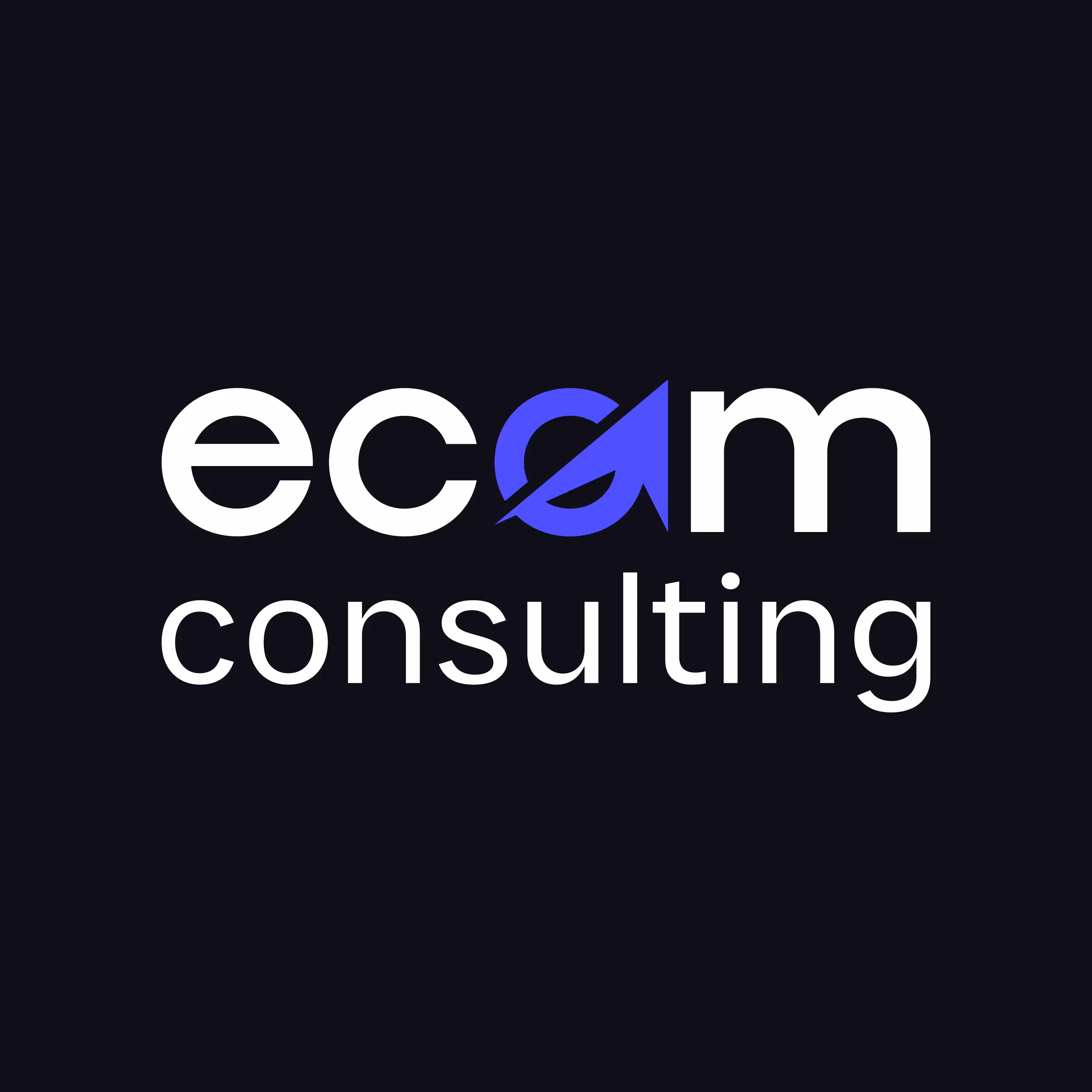 ecom.consulting - financing