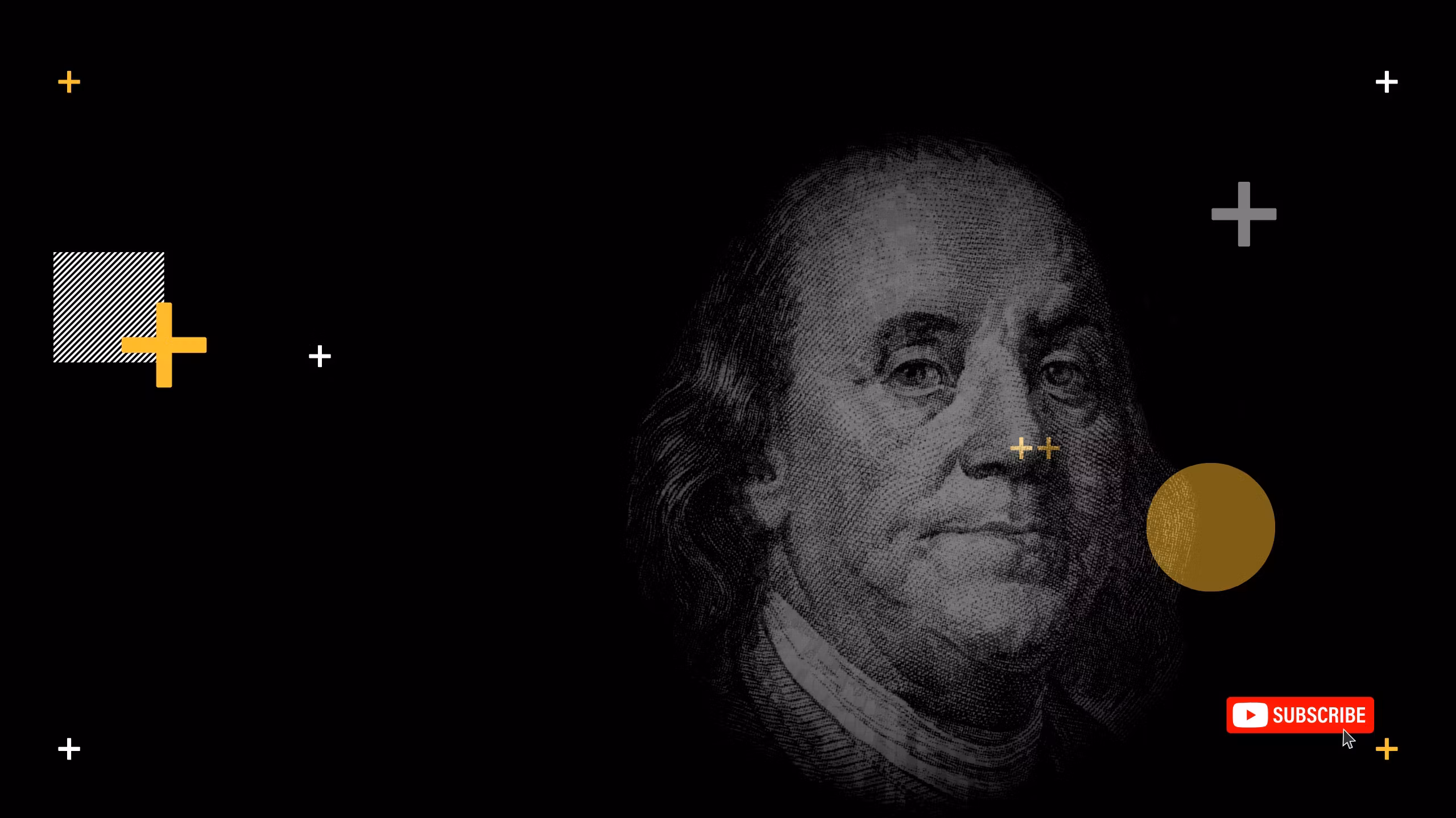 The Long Term Investor