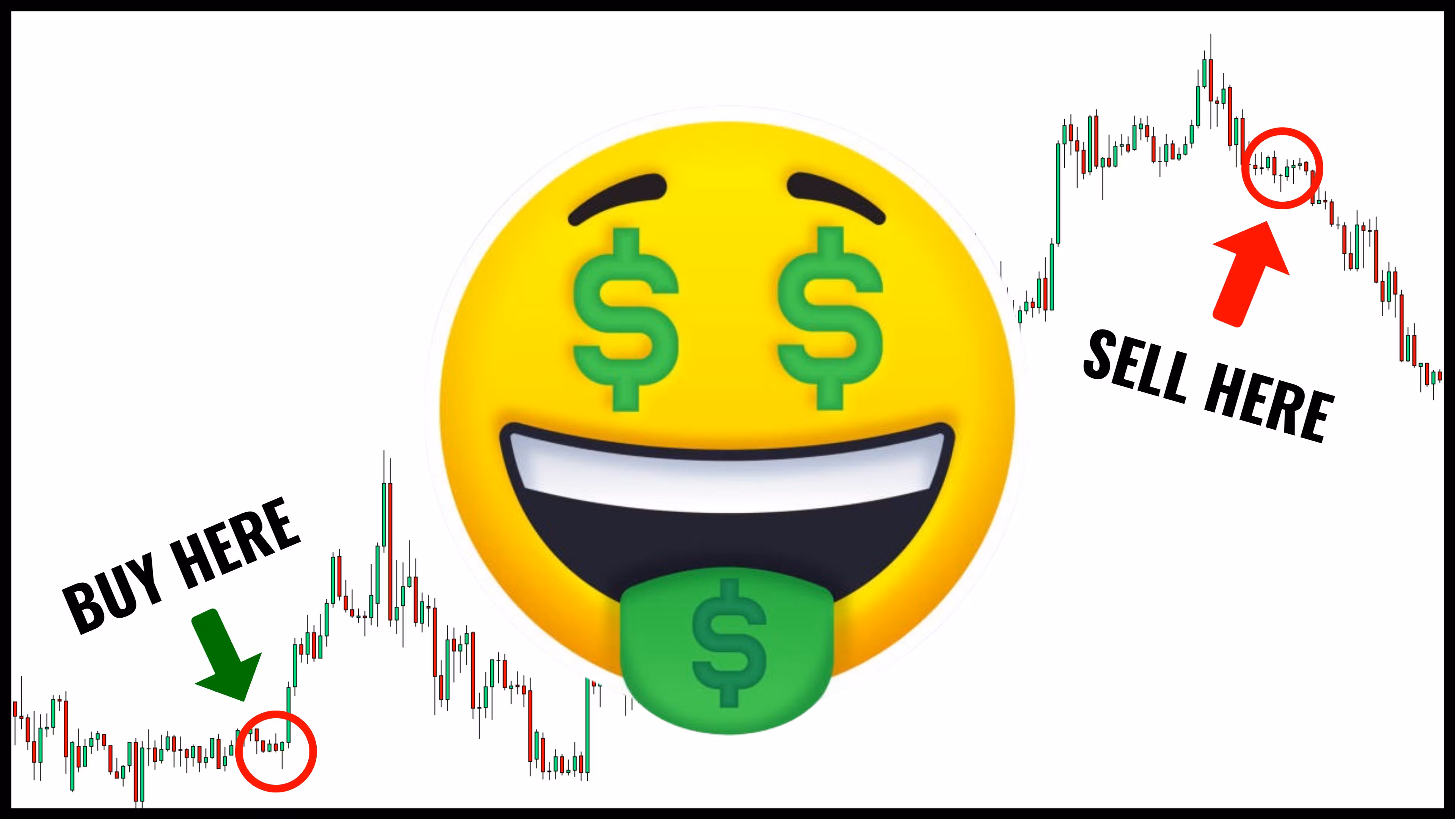 Private Forex Coaching Program