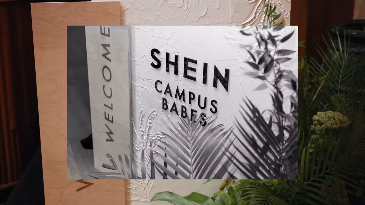 The SHEIN Ambassador Program