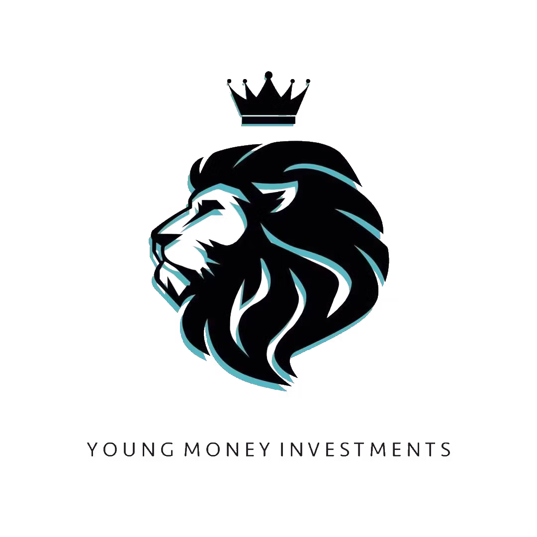 Young Money Investments