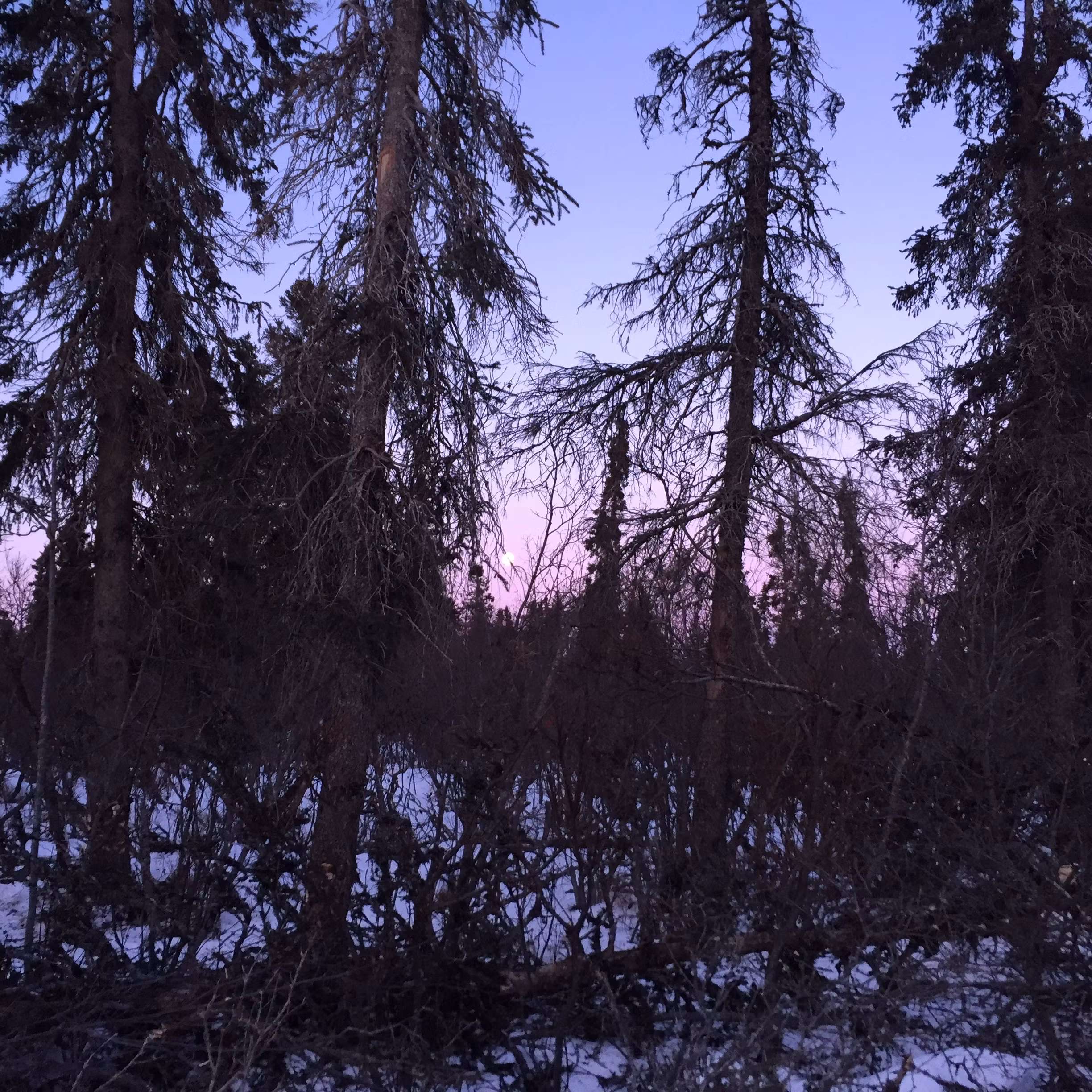 Our beautiful scenery 