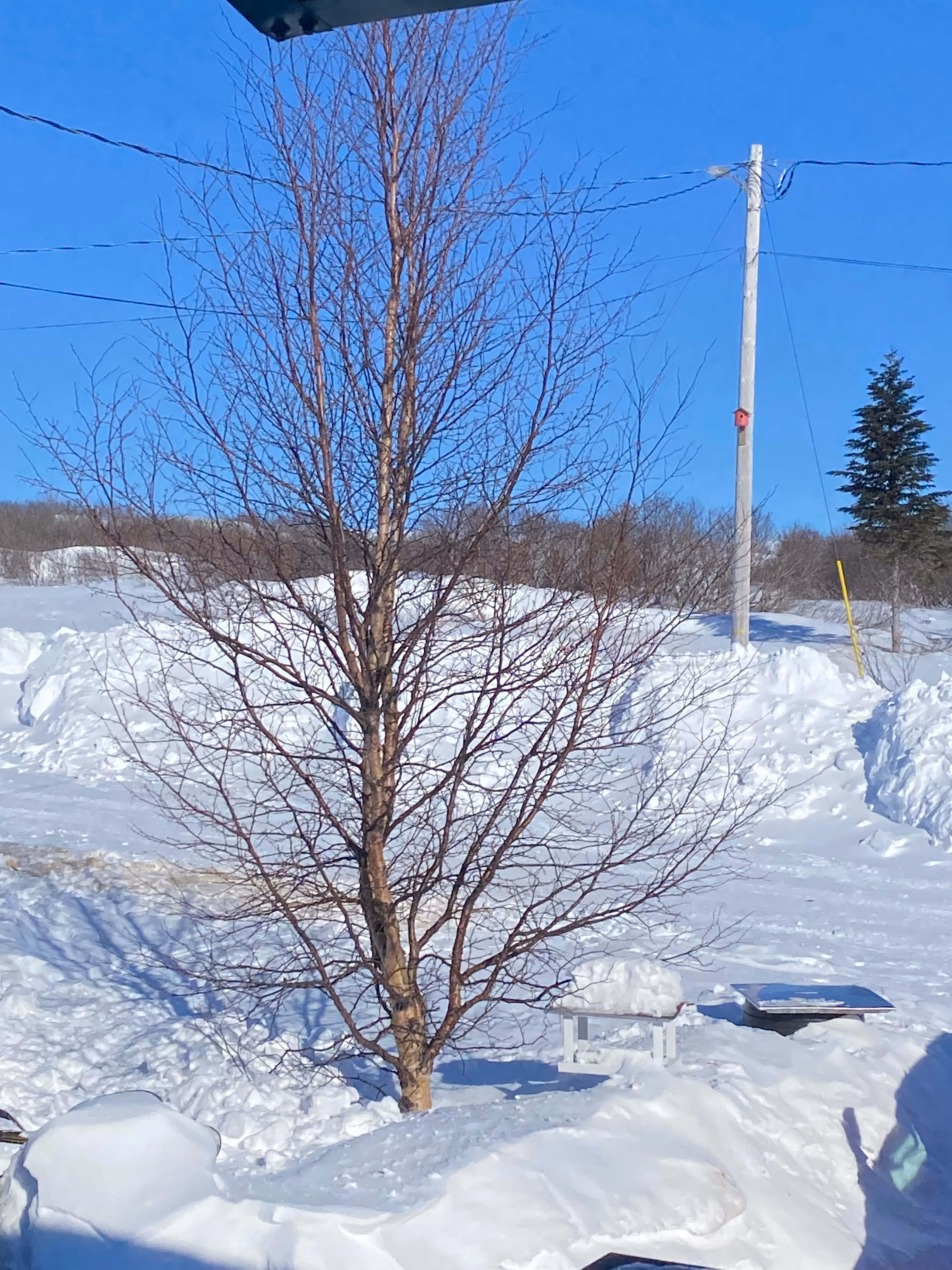 Our beautiful scenery 